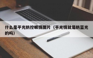 什么是平光防控眼镜图片（平光镜就是防蓝光的吗）