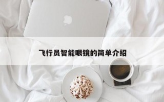 飞行员智能眼镜的简单介绍